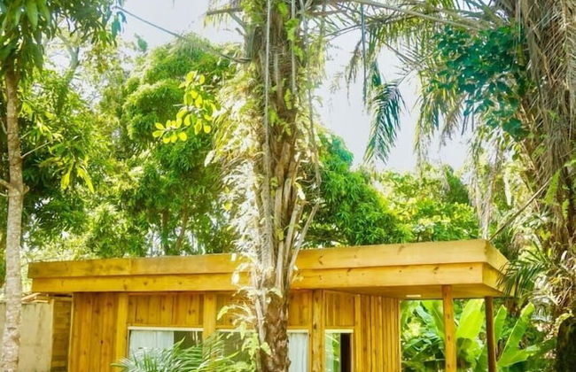 Casa Jequitibá Rosa - Foto 8