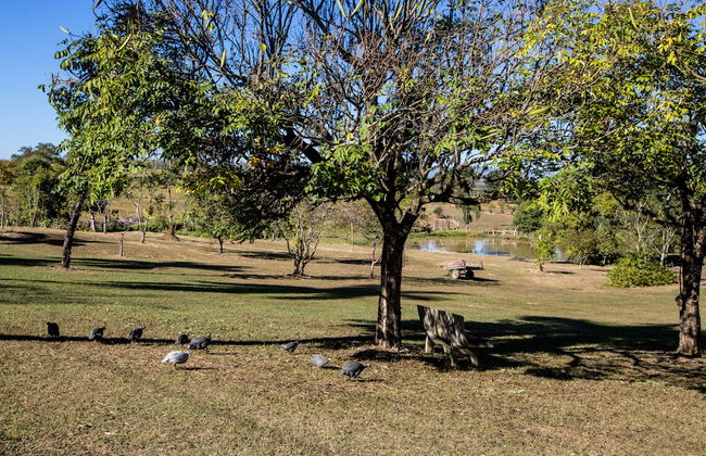 Hotel Fazenda Sete Lagos - Foto 56