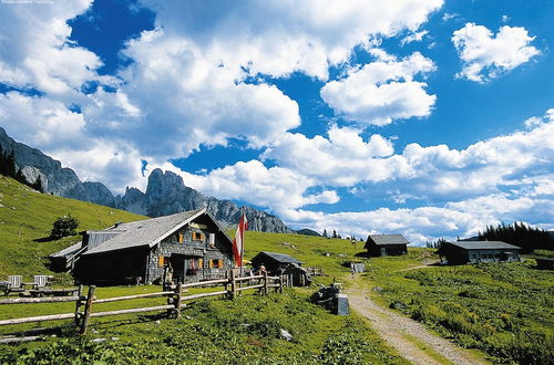 Photo 50 - Heritage Chalet in Niedernsill near Ski Area