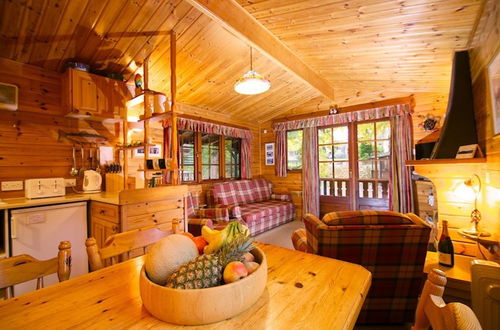 Photo 5 - Twa Hoots Lodge