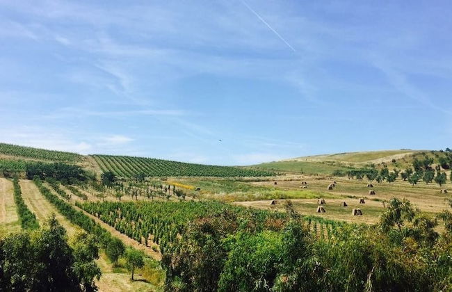 Cascina al colle - Foto 72