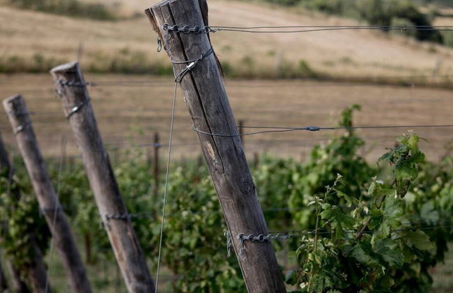 Cascina al colle - Foto 73