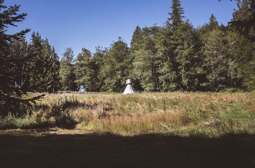 Photo 61 - Mt. Rainier Ranch