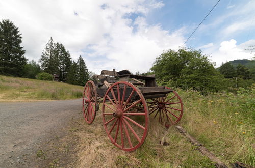 Photo 48 - Mt. Rainier Ranch