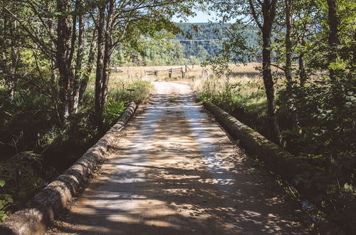 Photo 50 - Mt. Rainier Ranch