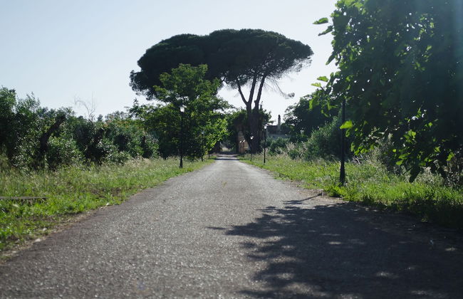 Agriturismo Capani - Foto 17