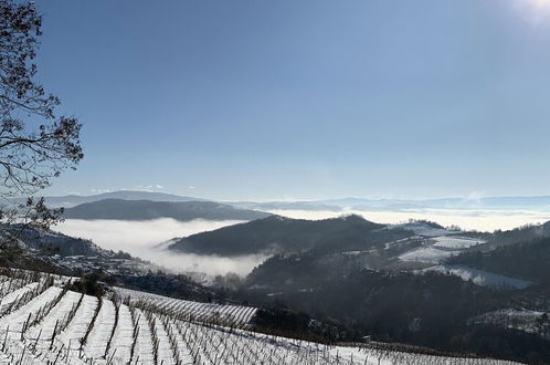 Photo 29 - Cascina Bertolotto Wine Resort.