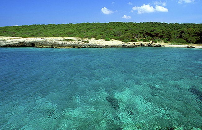Holiday Home With sea View - Foto 39