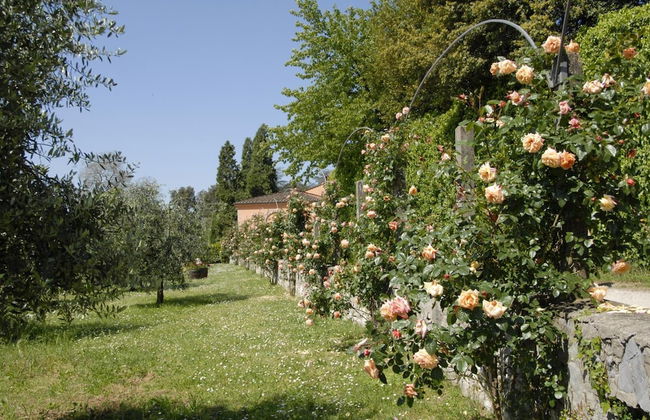 Agriturismo La Chiusa di Nanni - Foto 31