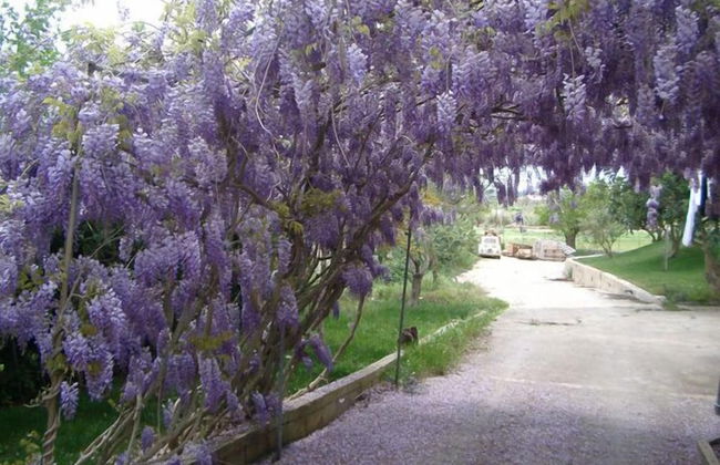 Agriturismo Il Granaio - Foto 42
