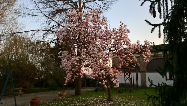 Foto 1 - Agriturismo Cipolli e Podò Corte Carlini