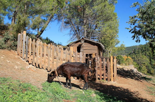 Photo 45 - Alojamiento Rural Las Maravillas