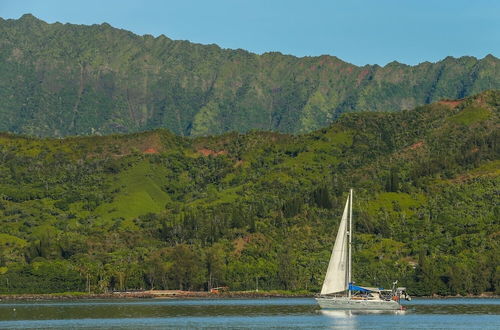 Foto 32 - Hanalei Beachfront 2 Bedroom Home by RedAwning