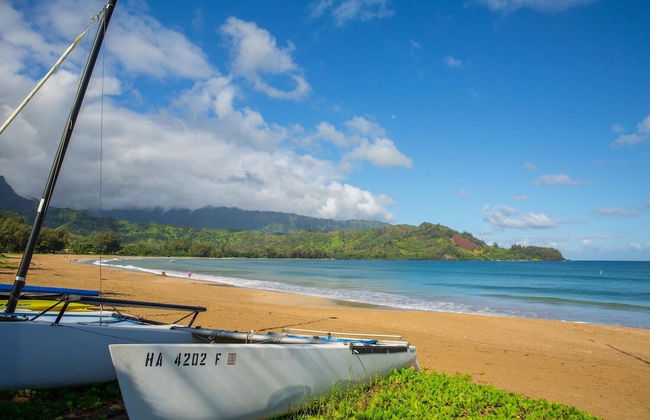 Hanalei Beach House 5 Bedroom Home by RedAwning - Foto 48