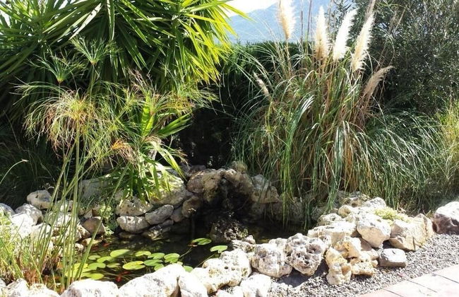 Bed & Breakfast Casa don Carlos - Foto 64