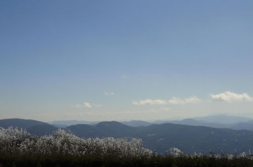 Photo 25 - VCI - Elderberry Overlook