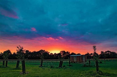 Photo 10 - Honeysuckle Farm Hut 4 - Suffolk Farm Holidays