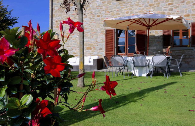 Apartment in Cortona With Pool and Hill Views - Photo 24