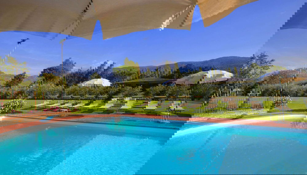 Imagem principal