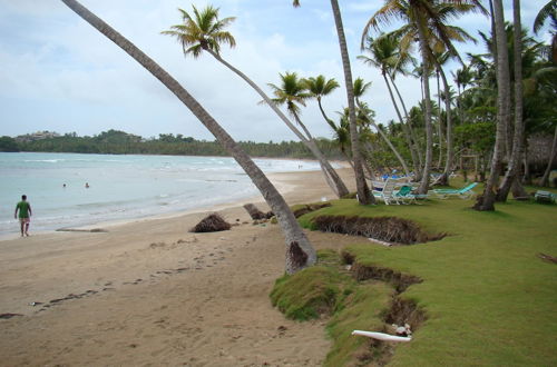 Photo 25 - Magic Nature at Las Terrenas