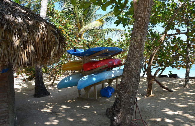 Magic Nature at Las Terrenas - Foto 22