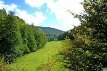 Photo 22 - Apartment in the Odenwald With Terrace