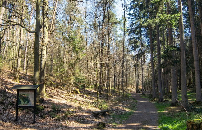 Apartment in the Odenwald With Terrace - Foto 38