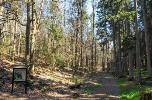 Photo 25 - Apartment in the Odenwald With Terrace