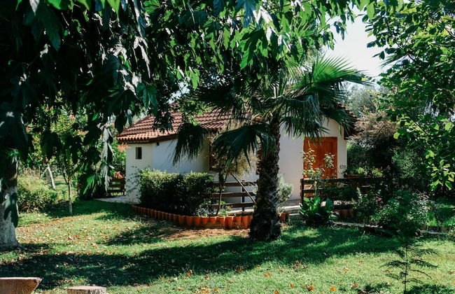 Beautiful Village Bungalow - Photo 41