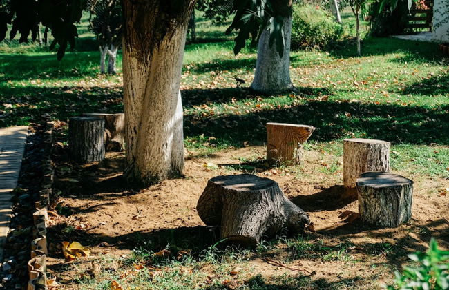 Beautiful Village Bungalow - Photo 40