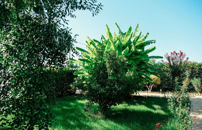 Beautiful Village Bungalow - Photo 36