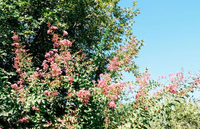 Beautiful Village Bungalow - Photo 34