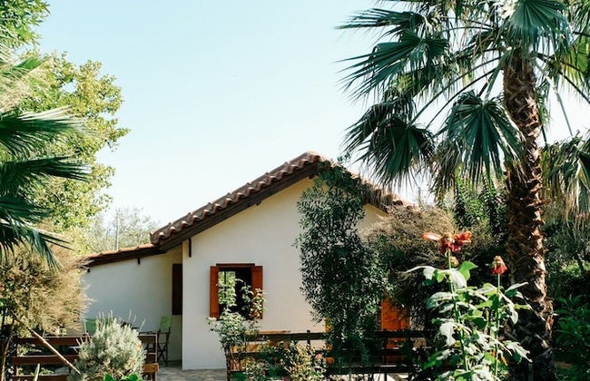 Beautiful Village Bungalow - Photo 35