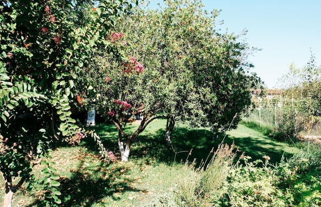 Beautiful Village Bungalow - Photo 33