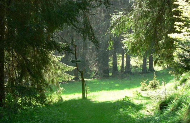 Cozy Holiday Home in Großbreitenbach near Schwarza Valley - Foto 26