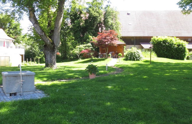 Buche - Foto 23