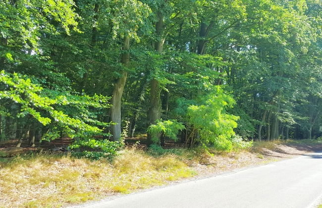 Ferienwohnung Strudthoff - Foto 17