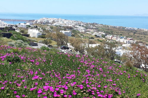 Photo 36 - Alonistra Oia Houses