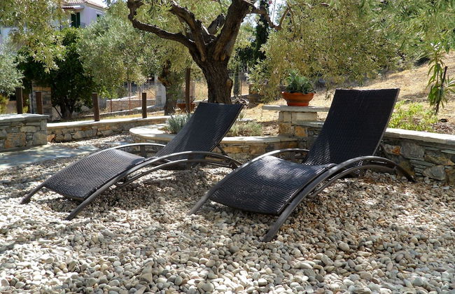 Flower Houses - Photo 13