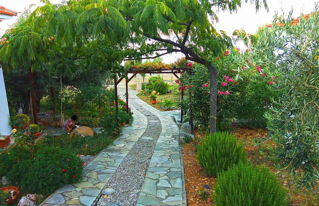 Flower Houses - Photo 37