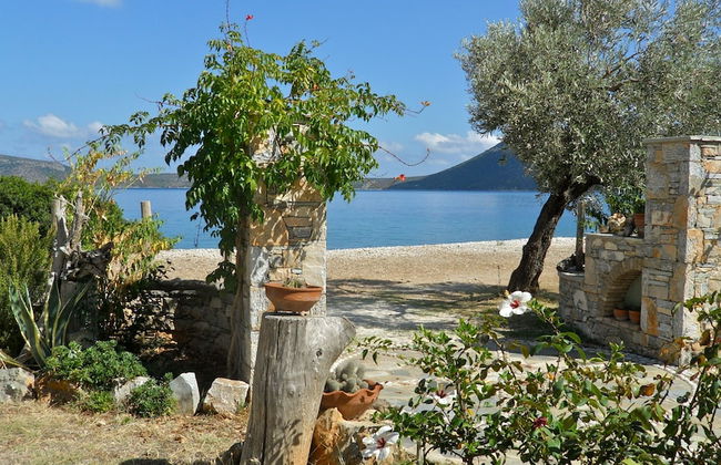 Flower Houses - Photo 1