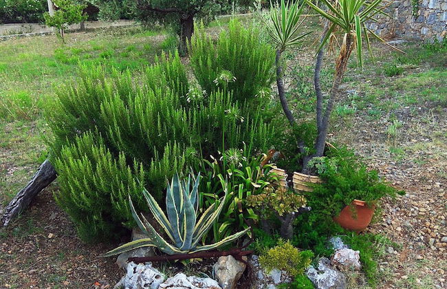 Flower Houses - Photo 31