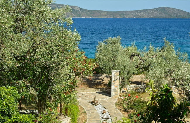 Flower Houses - Photo 36