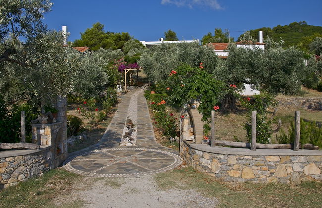 Flower Houses - Photo 28
