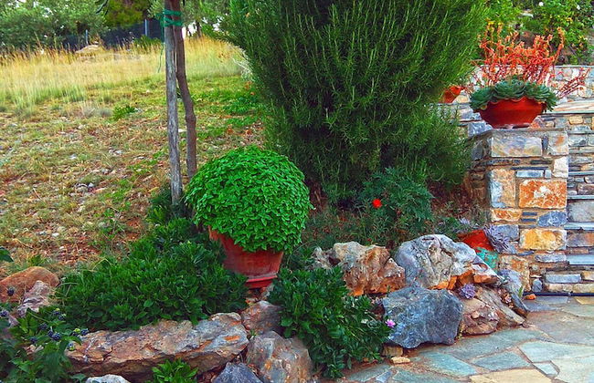 Flower Houses - Photo 41