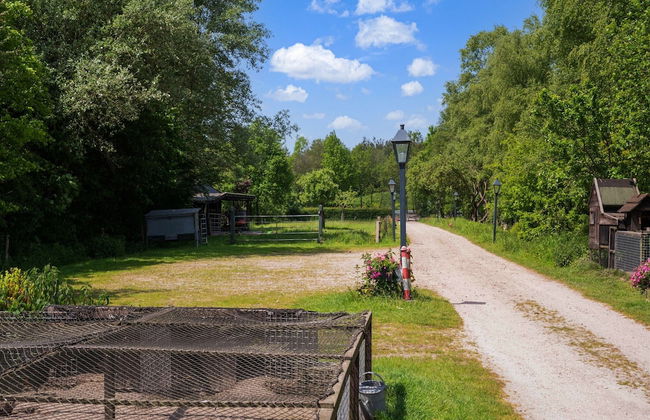 Cottage in Dwingelderveld With Scenic Views - Foto 31