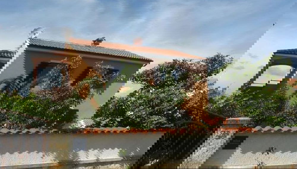 Imagem principal