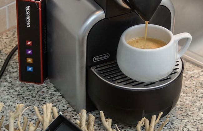 My Island Home - Foto 21