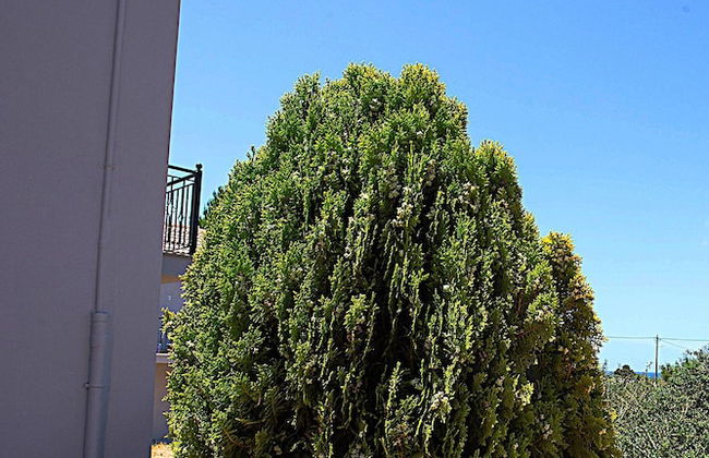 Romanos Beach Villas - Foto 59