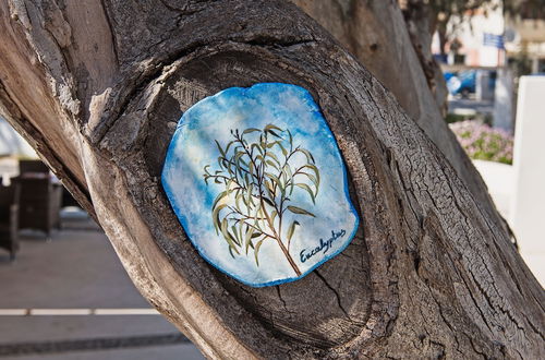 Photo 57 - Eucalyptus Houses